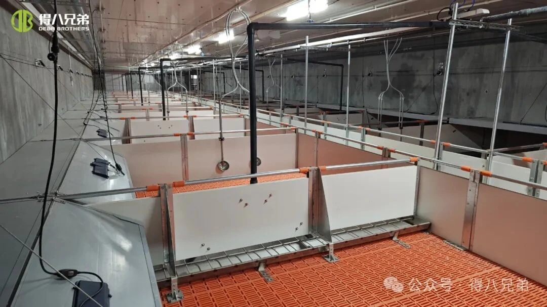 Calor Suspendisse Praeventionis & Management in Sues praedia Per aestus