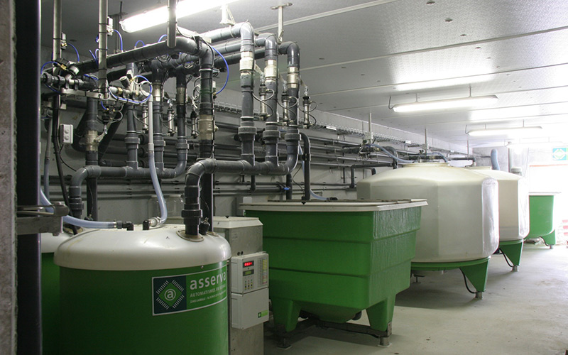 Porcus Farm Liquid Pascens System